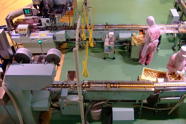 食品工場の製造ラインで二人の作業者が菓子を扱う様子