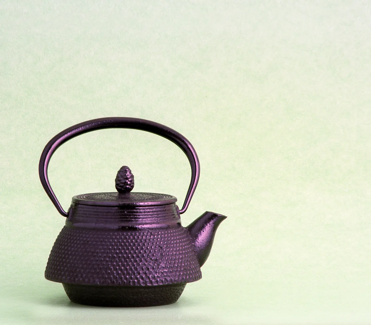 丸い持ち手と短い注ぎ口があり、胴に粒状の模様が並ぶ鉄製の茶器